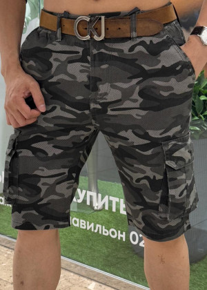 Шорты 2365923