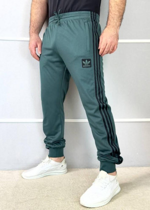 Спортивные брюки 2366288