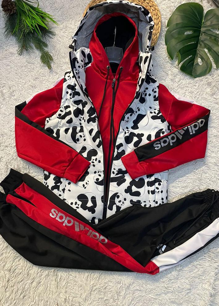 Спортивный костюм 